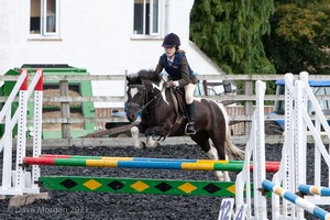 Class 3 -  Fences not above 2'3